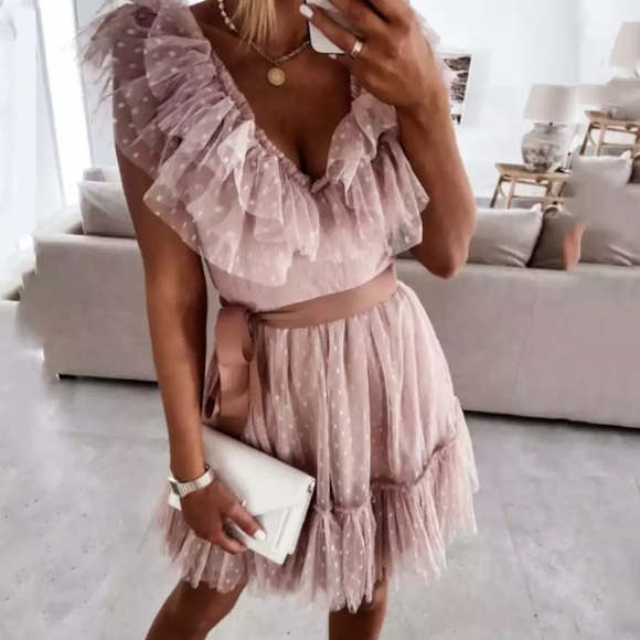 Pink Blush Ruffle Tulle Elegant Pleated Dress - Picture 3 of 16